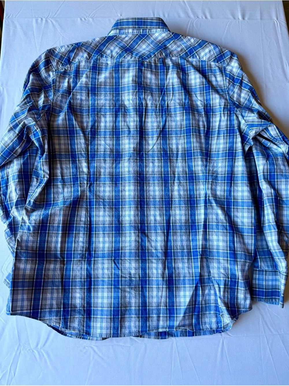 Banana Republic Men's Blue Plaid Button-Up Shirt
